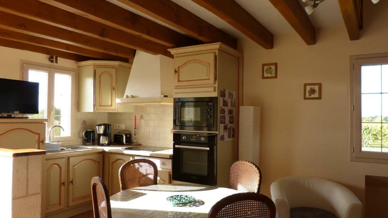 Villa l'Ecrin au coeur des vignes à Saint-Georges-sur-Cher Extérieur photo