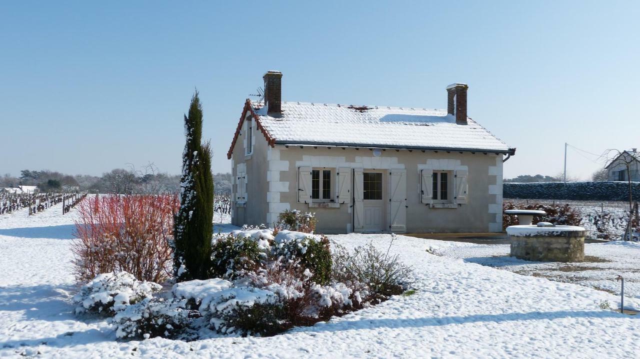 Villa l'Ecrin au coeur des vignes à Saint-Georges-sur-Cher Extérieur photo