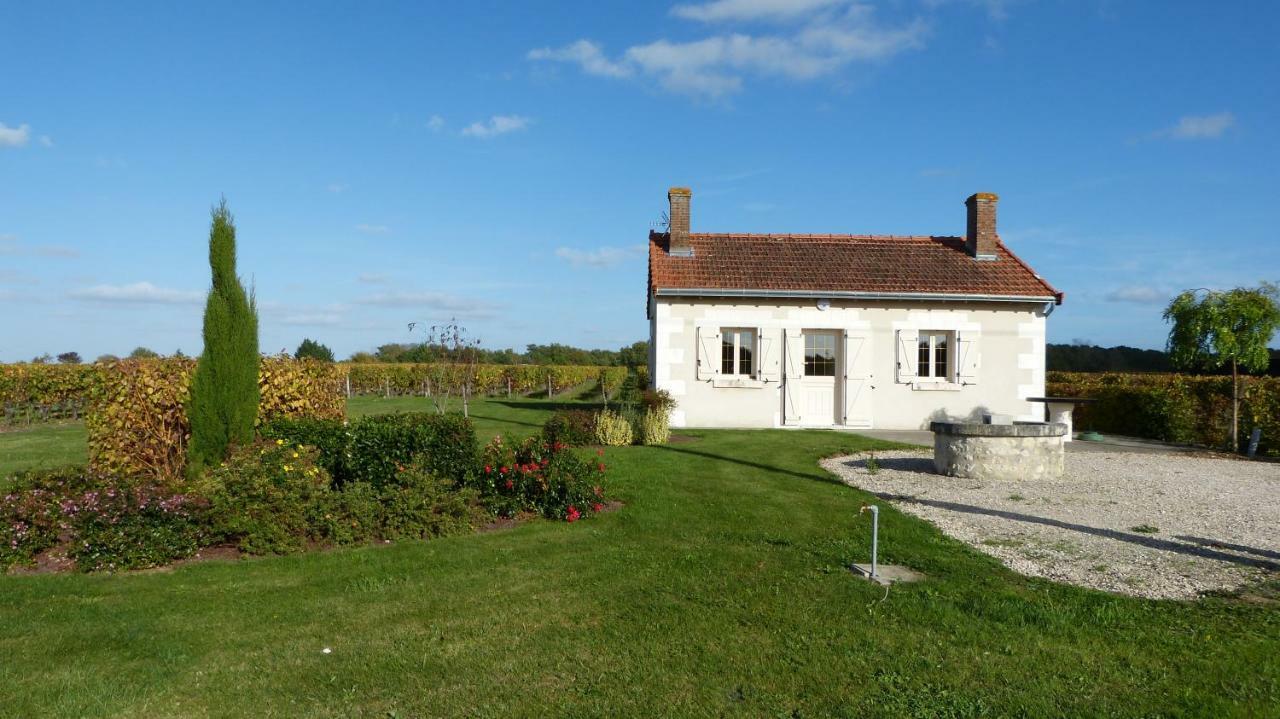 Villa l'Ecrin au coeur des vignes à Saint-Georges-sur-Cher Extérieur photo