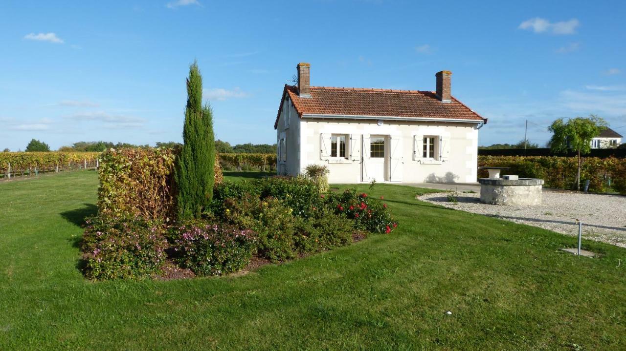Villa l'Ecrin au coeur des vignes à Saint-Georges-sur-Cher Extérieur photo
